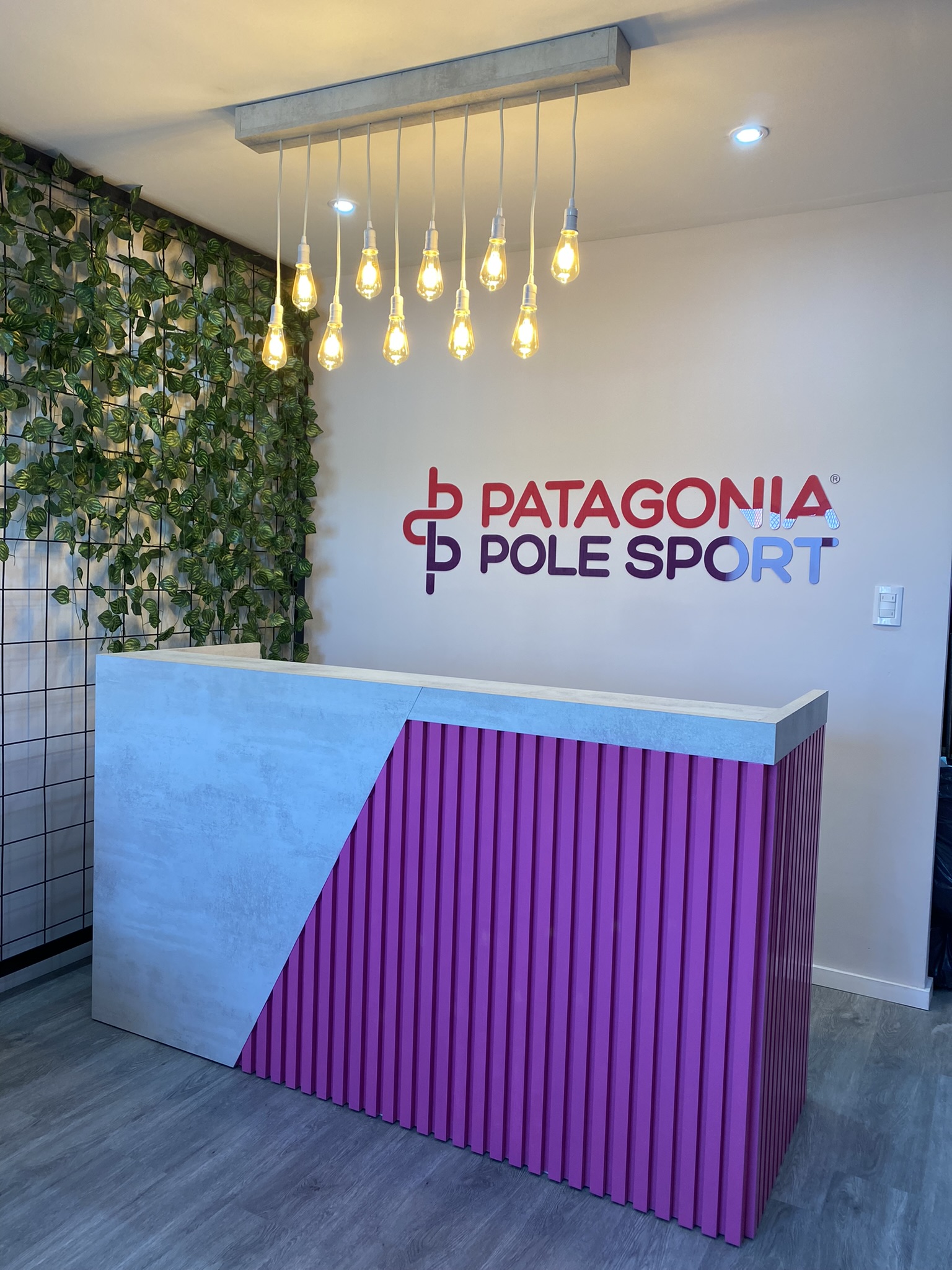 PATAGONIA POLE SPORT